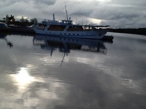 Oppilaat pääsivät tutustumaan Carloteen onkipäivänä.